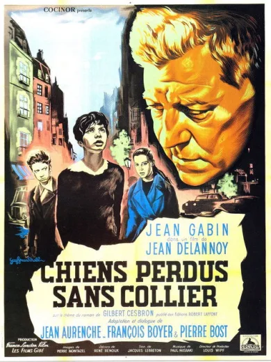 Νιάτα χωρίς Επαύριον / Chiens perdus sans collier