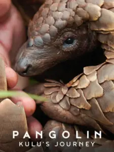 Παγκολίνος: Το Ταξίδι του Κούλου / Pangolin: Kulu’s Journey