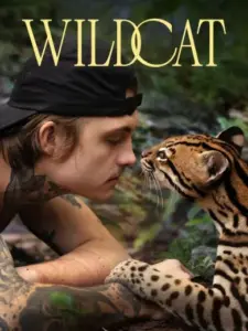 Αγριόγατα / Wildcat