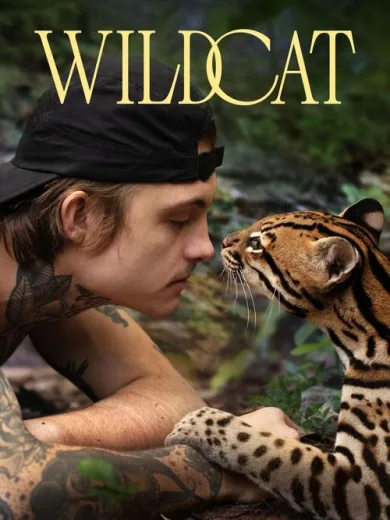 Αγριόγατα / Wildcat