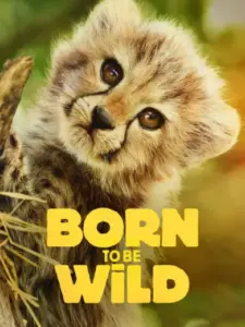 Born to Be Wild