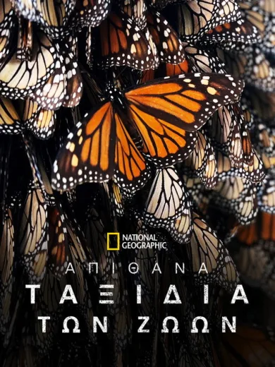 Απίστευτα Ταξίδια Ζώων / Incredible Animal Journeys