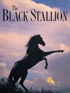 Το Μαύρο Άλογο / The Black Stallion