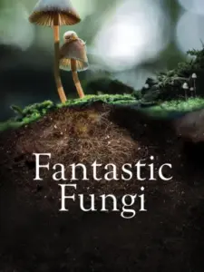 Φανταστικά Μανιτάρια / Fantastic Fungi