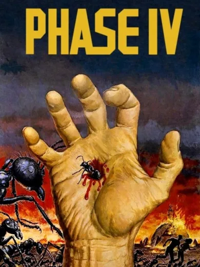 Phase IV