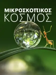 Μικροσκοπικός Κόσμος / Tiny World