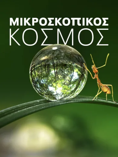 Μικροσκοπικός Κόσμος / Tiny World