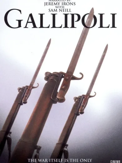 Gelibolu