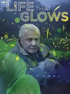 Attenborough’s Life That Glows