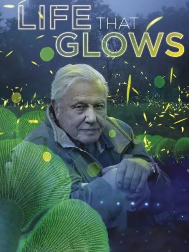 Attenborough’s Life That Glows