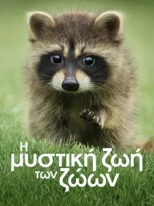 Η Μυστική Ζωή των Ζώων / The Secret Lives of Animals