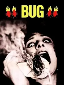 Bug