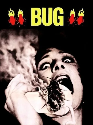 Bug