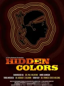Hidden Colors