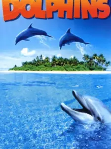 Dolphins
