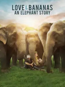 Love & Bananas: An Elephant Story