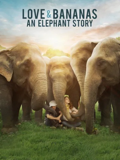Love & Bananas: An Elephant Story