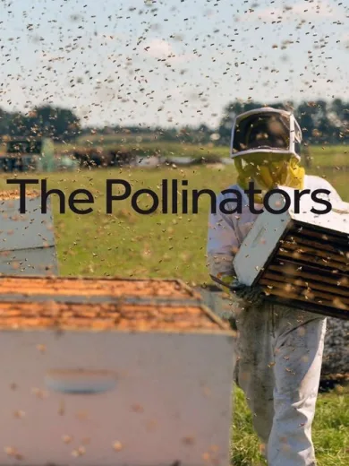 The Pollinators