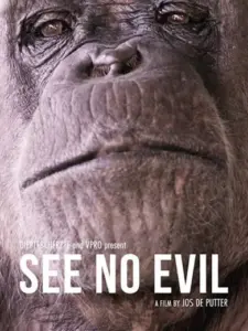 See No Evil