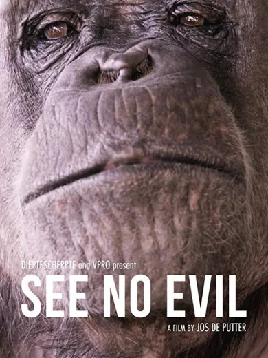 See No Evil