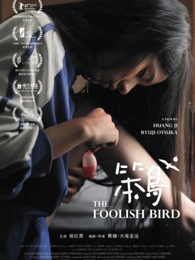 The Foolish Bird