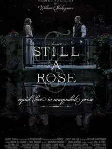Still a Rose