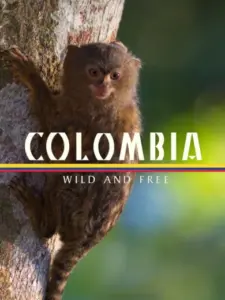 Colombia – Wild and Free