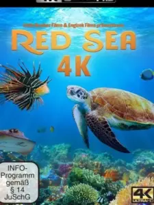 Red Sea