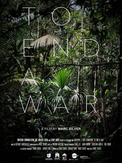 To End a War