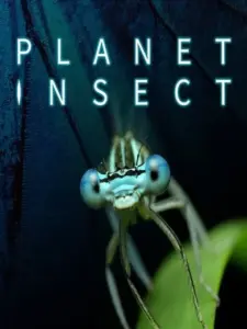 Planet Insect