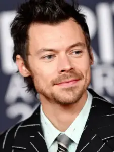 Χάρι Στάιλς (Harry Styles)