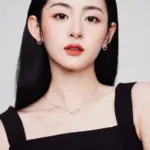 Zhao Qing