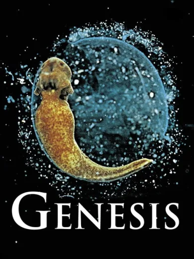 Genesis