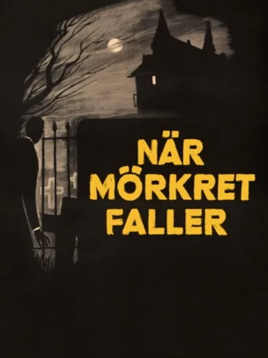 När mörkret faller