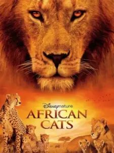 African Cats