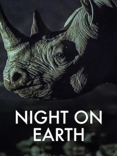 Νύχτα στη Γη / Night on Earth