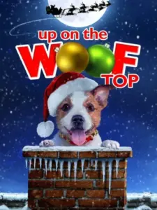 Up on the Wooftop
