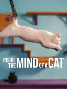Στο Μυαλό μιας Γάτας / Inside the Mind of a Cat