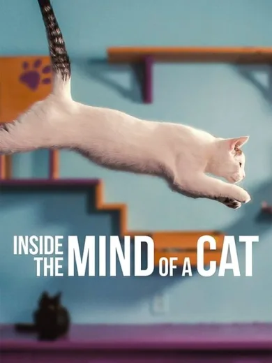 Στο Μυαλό μιας Γάτας / Inside the Mind of a Cat