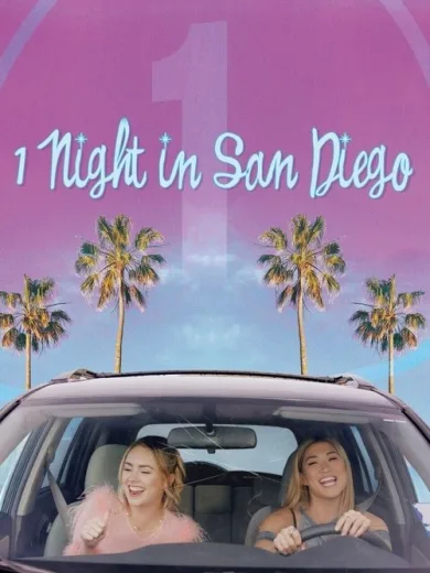 1 Night in San Diego