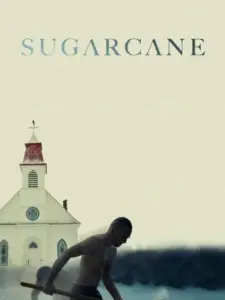 Sugarcane