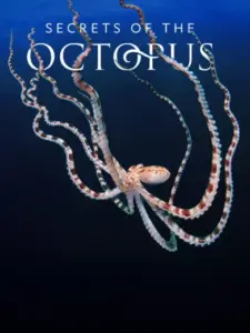 Secrets of the Octopus