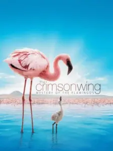 Πορφυρά Φτερά / The Crimson Wing: Mystery of the Flamingos