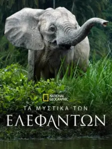 Τα Μυστικά των Ελεφάντων / Secrets of the Elephants