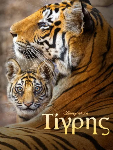 Τίγρης / Tiger
