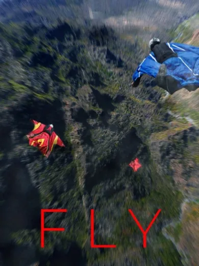 Fly