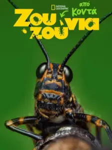 Ζουζούνια από Κοντά / A Real Bug’s Life