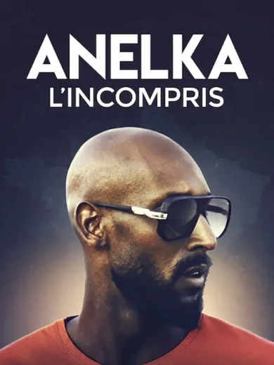 Ανελκά: Ο Παρεξηγημένος / Anelka : L’Incompris