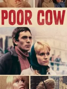 Poor Cow
