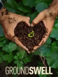Groundswell